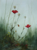 Poppies - Phyllis Del Vecchio