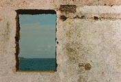 Window Wall - Anne Maire Dowdican
