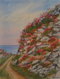 Burren Coastal Path - James Flack