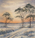 Old Scots Pine In Winter - James Flack