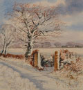 Lane Near My House In Winter - James Flack